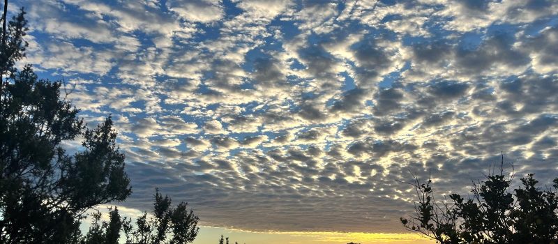 Novembro’25 no c.e.m